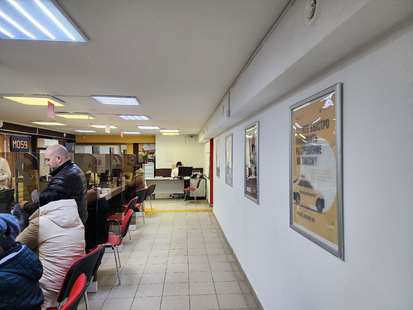 красноармейск, городской округ пушкинский, социальная защита, активное долголетие, новая услуга, вертикалки,