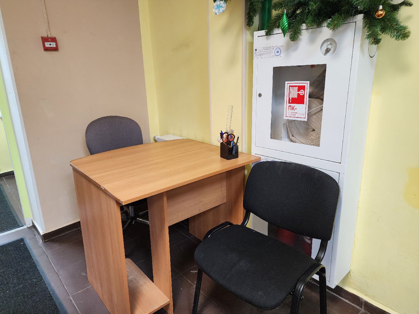 красноармейск, городской округ пушкинский, социальная защита, активное долголетие, новая услуга, вертикалки,