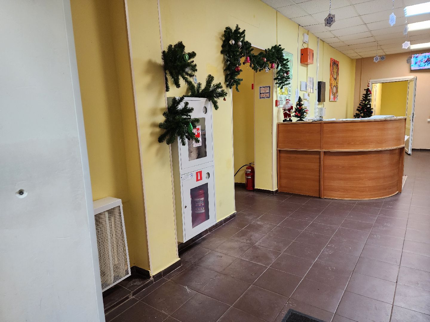 красноармейск, городской округ пушкинский, социальная защита, активное долголетие, новая услуга, вертикалки,