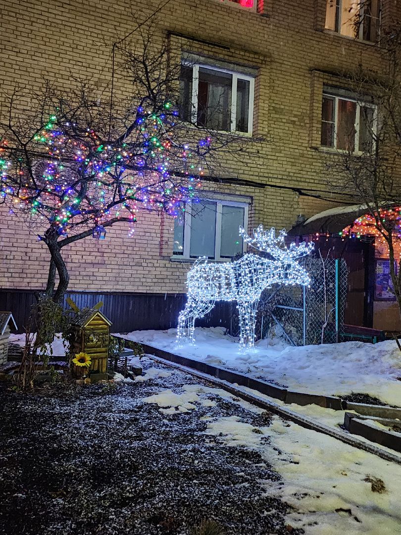 фрязино, новогоднее украшение, улицы города, фотосессии, вертикалки, благоустойство,