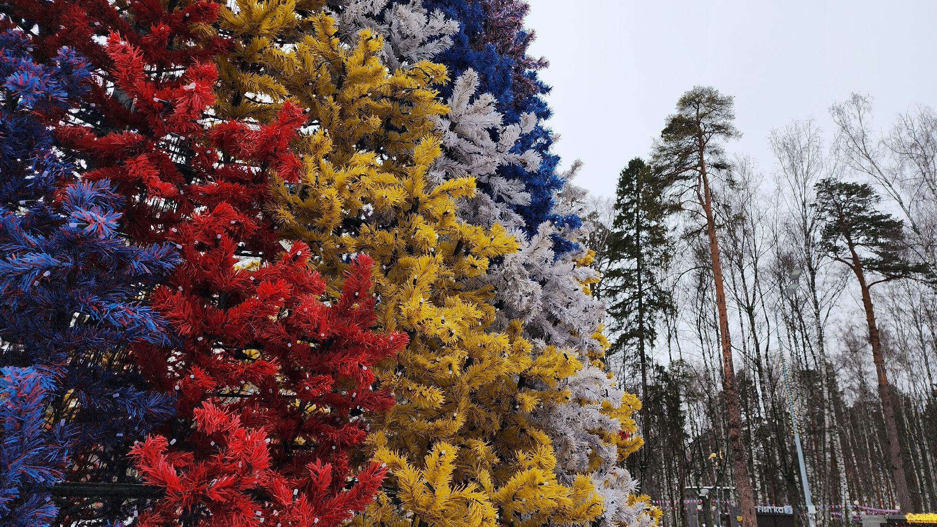 Богородские парки, Зима в Подмосковье, почта Деда Мороза, Ногинск, Богородский городской округ,