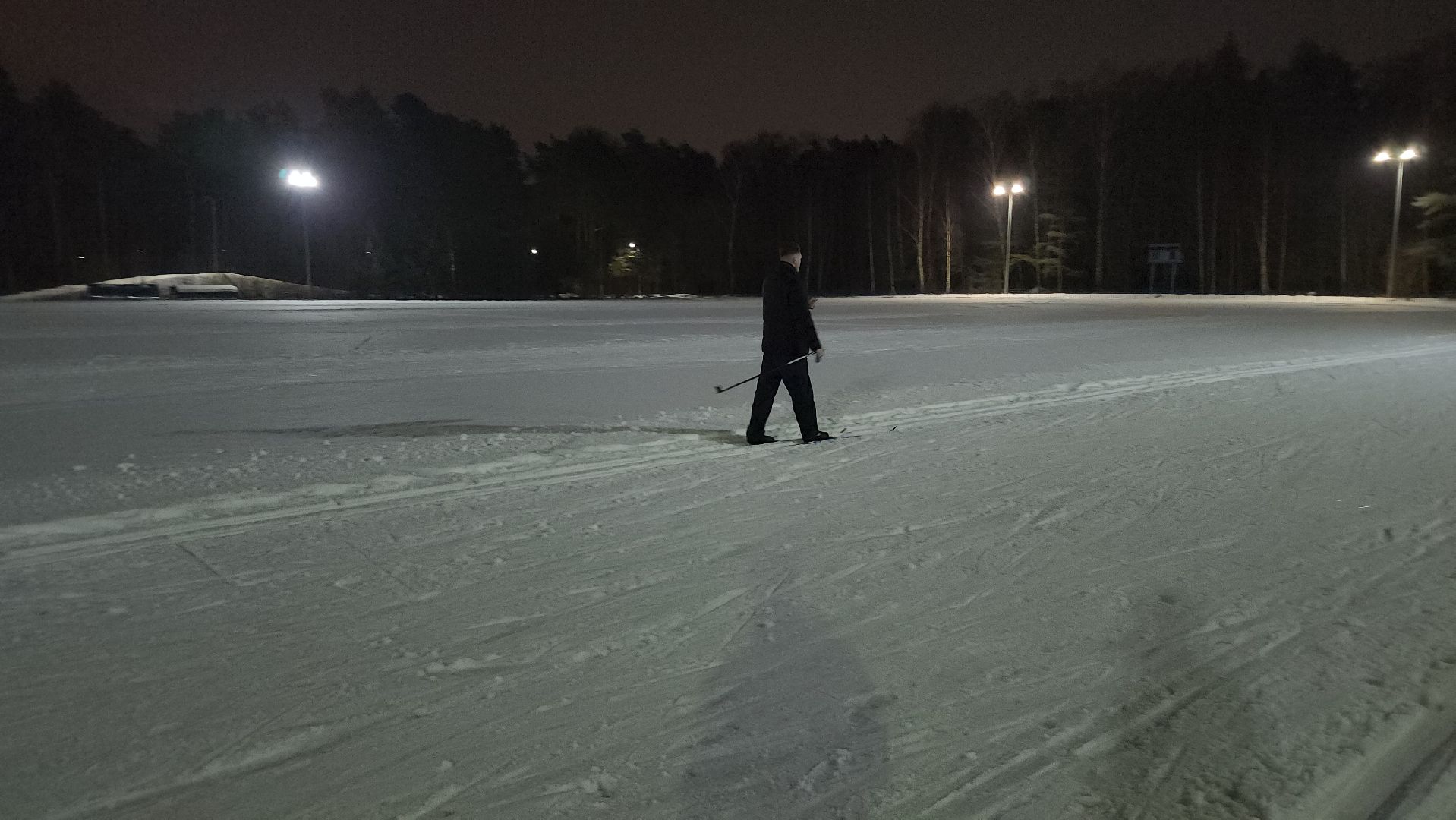 зимние виды спорта, лыжная трасса, стадион Труд, Старая Купавна, Богородский городской округ, вертикалки