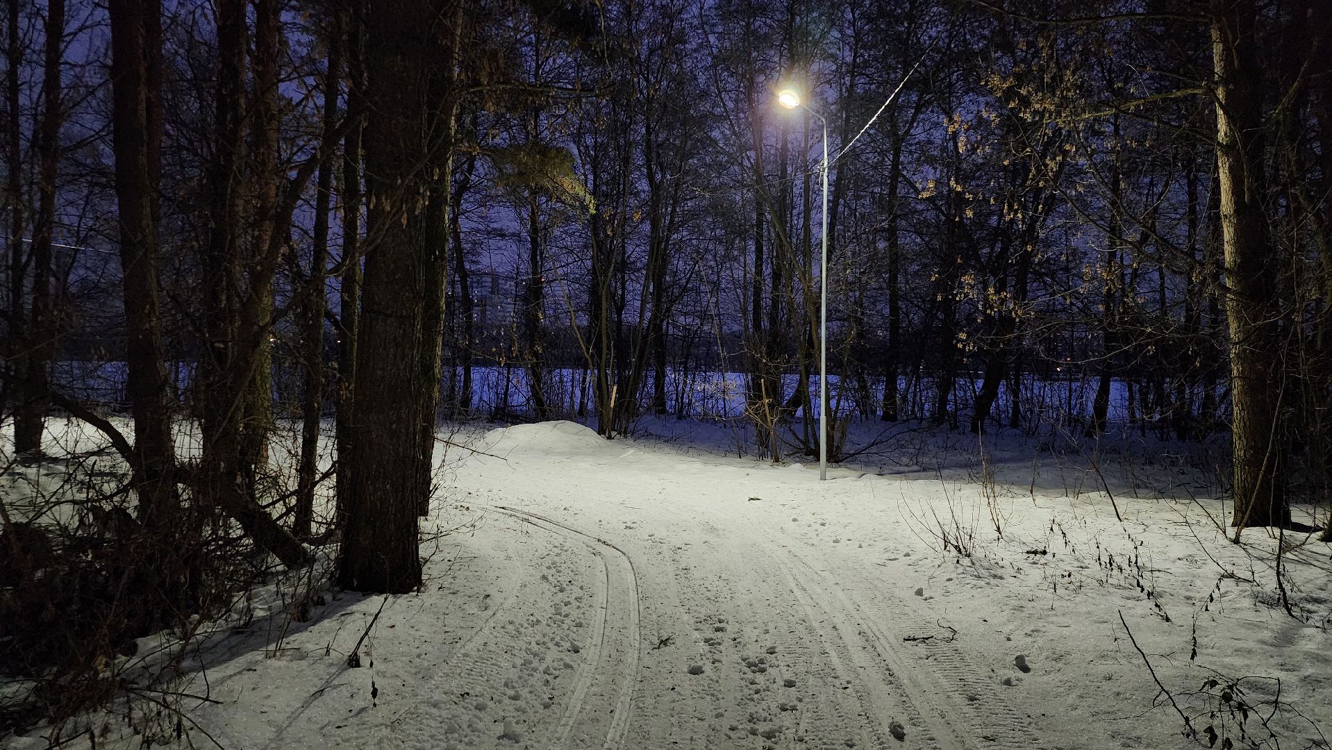 зимние виды спорта, лыжная трасса, стадион Труд, Старая Купавна, Богородский городской округ, вертикалки