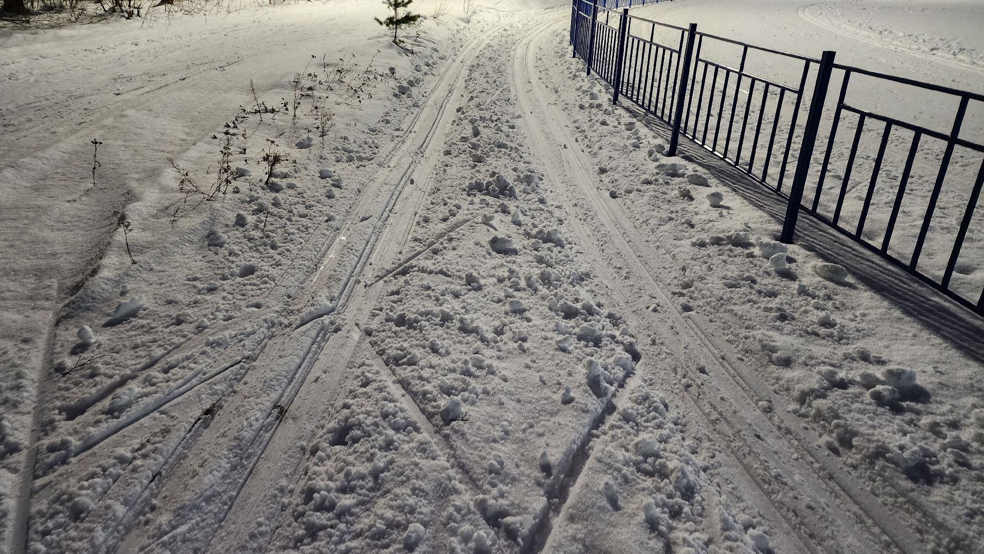 зимние виды спорта, лыжная трасса, стадион Труд, Старая Купавна, Богородский городской округ, вертикалки