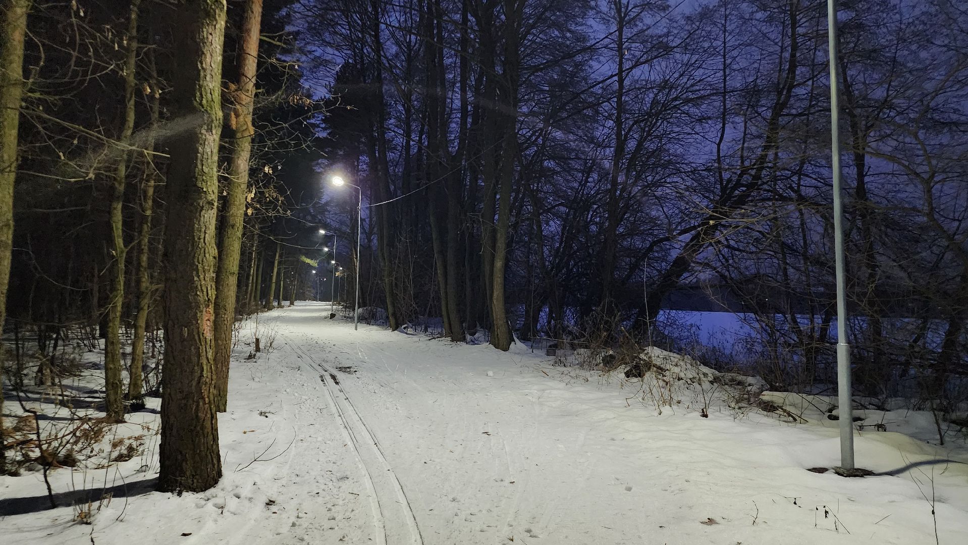 зимние виды спорта, лыжная трасса, стадион Труд, Старая Купавна, Богородский городской округ, вертикалки