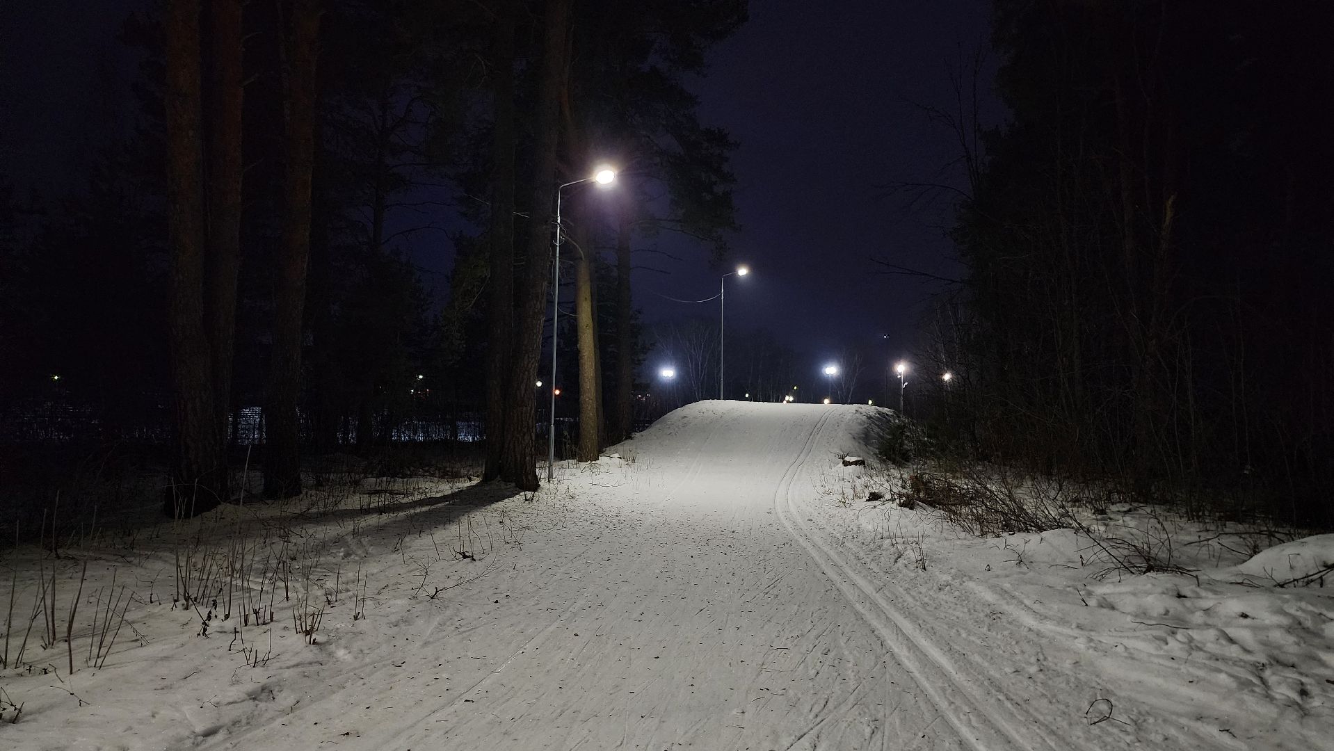 зимние виды спорта, лыжная трасса, стадион Труд, Старая Купавна, Богородский городской округ, вертикалки