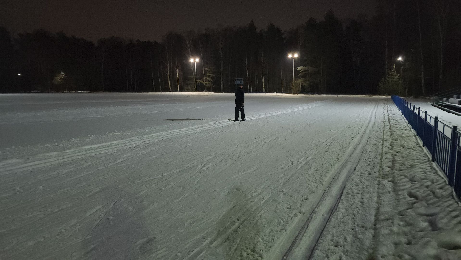 зимние виды спорта, лыжная трасса, стадион Труд, Старая Купавна, Богородский городской округ, вертикалки