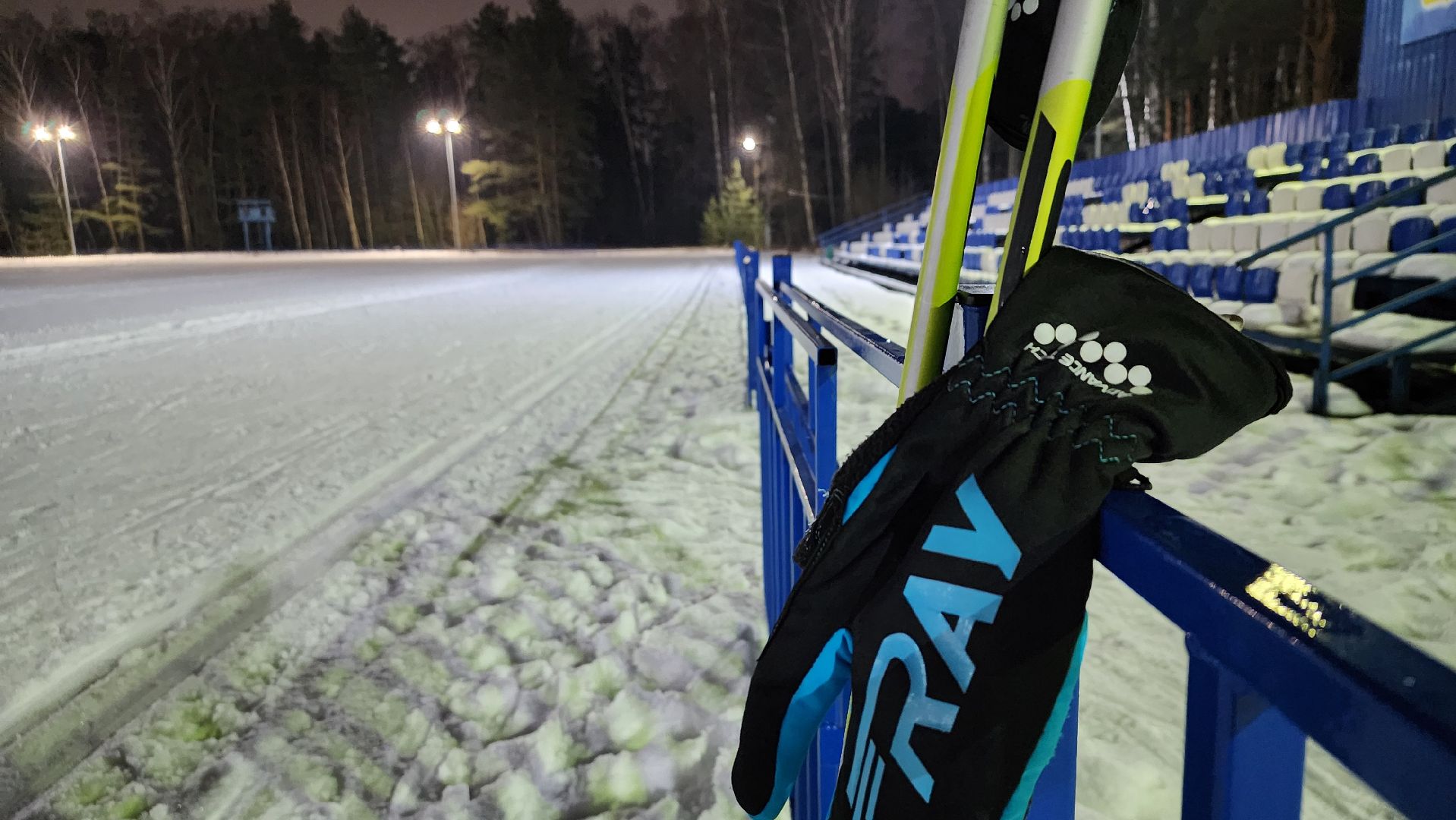 зимние виды спорта, лыжная трасса, стадион Труд, Старая Купавна, Богородский городской округ, вертикалки