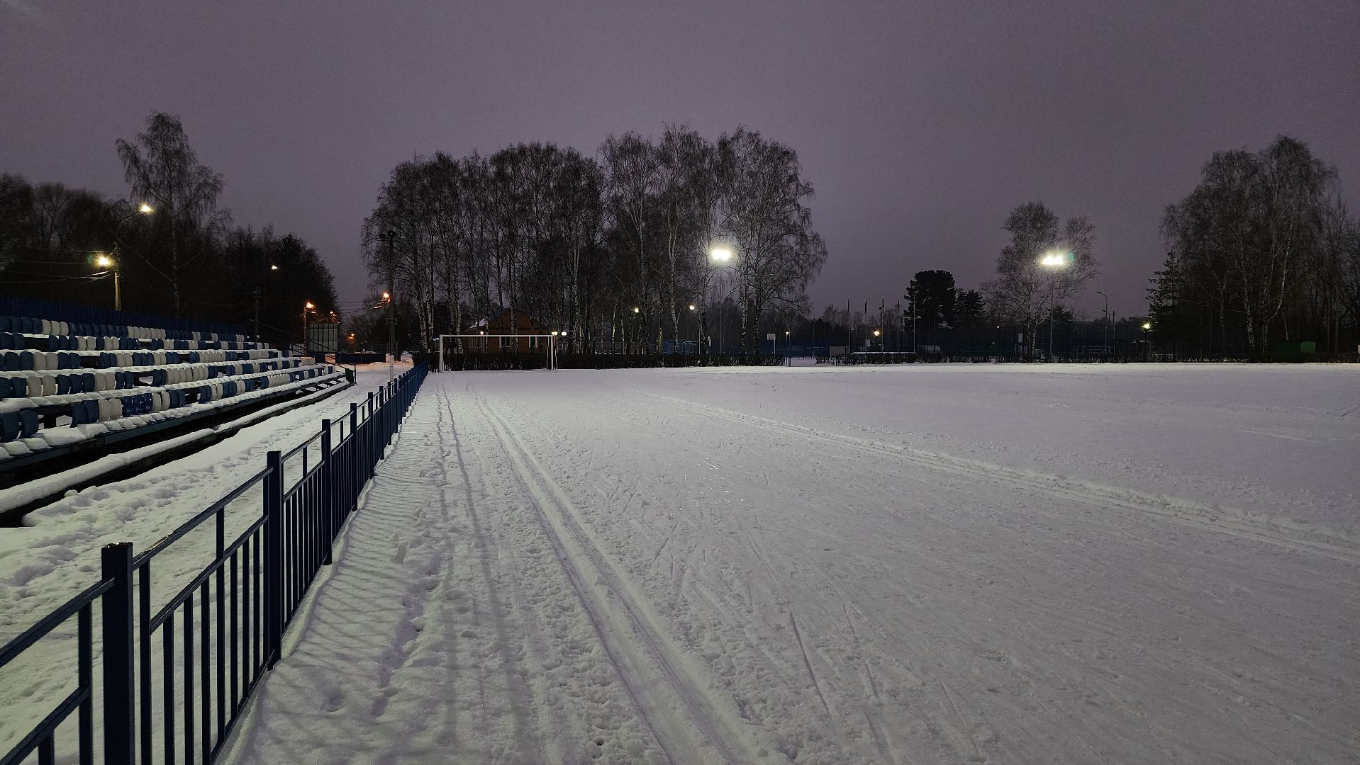 зимние виды спорта, лыжная трасса, стадион Труд, Старая Купавна, Богородский городской округ, вертикалки