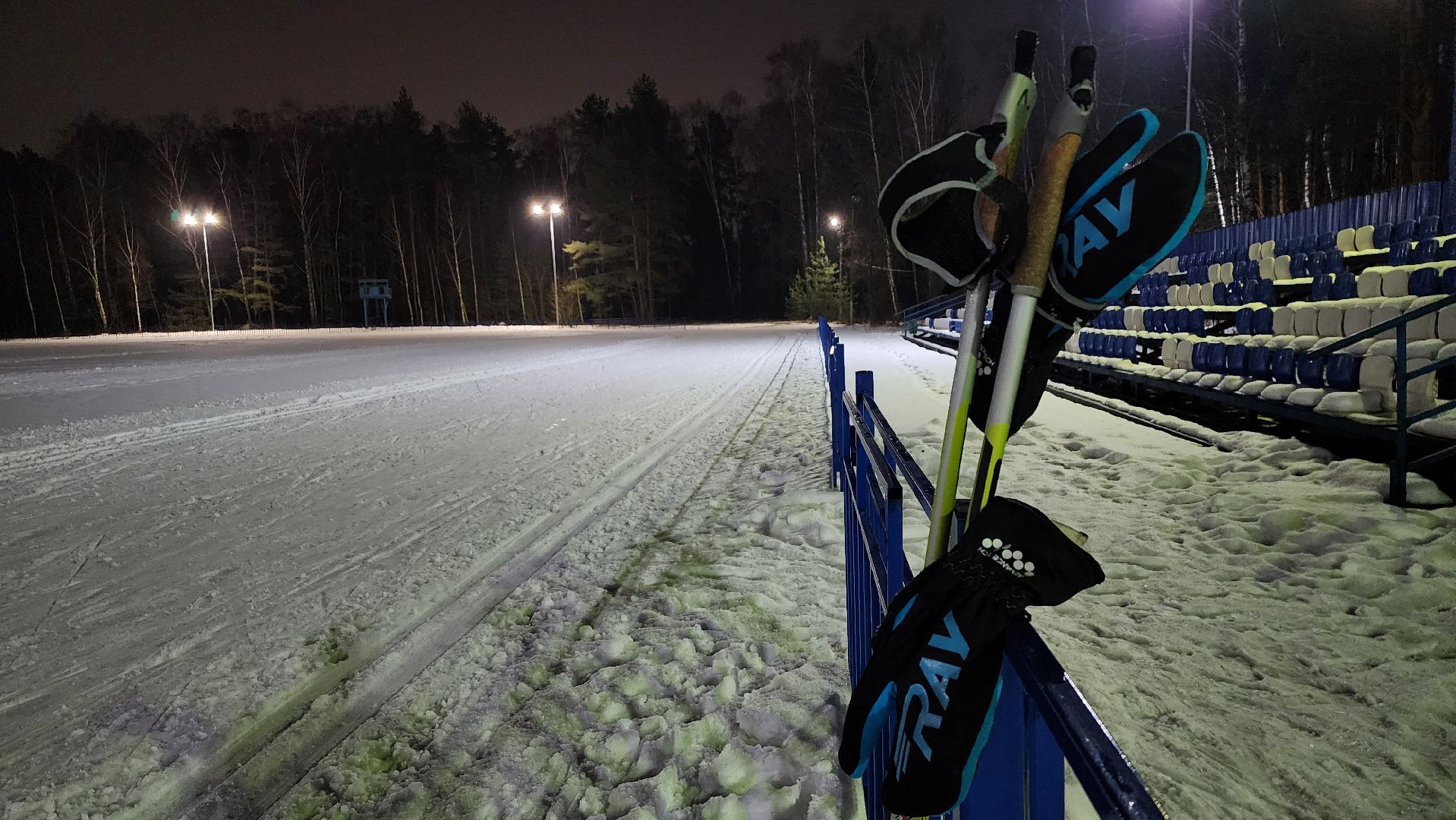 зимние виды спорта, лыжная трасса, стадион Труд, Старая Купавна, Богородский городской округ, вертикалки