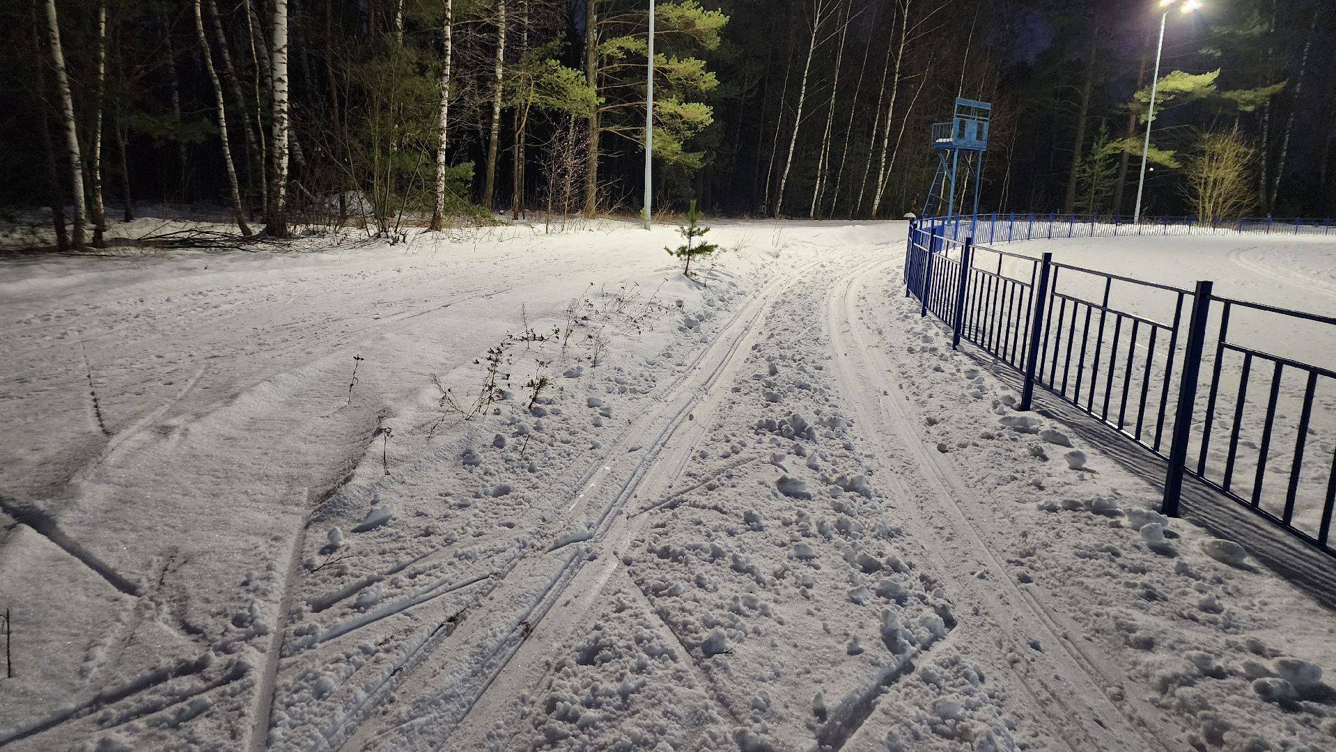 зимние виды спорта, лыжная трасса, стадион Труд, Старая Купавна, Богородский городской округ, вертикалки