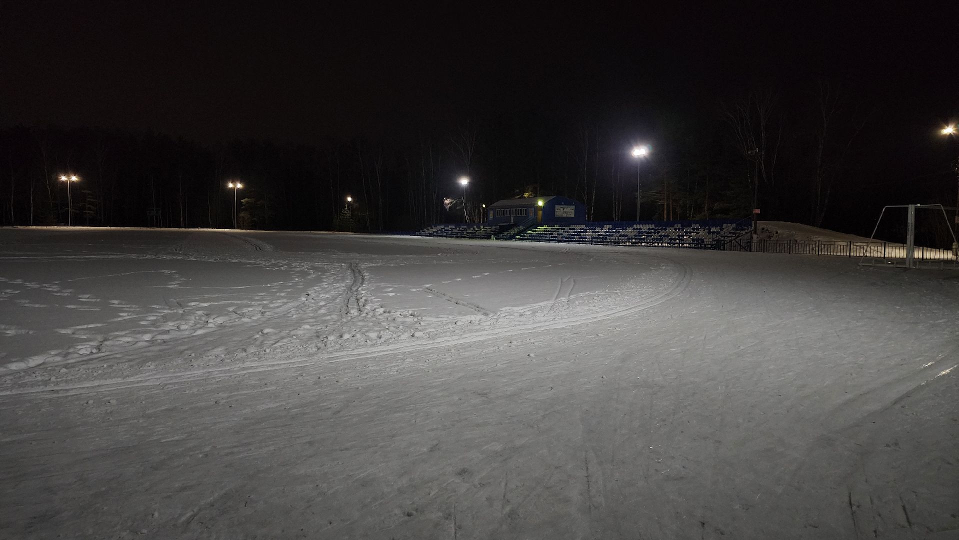 зимние виды спорта, лыжная трасса, стадион Труд, Старая Купавна, Богородский городской округ, вертикалки
