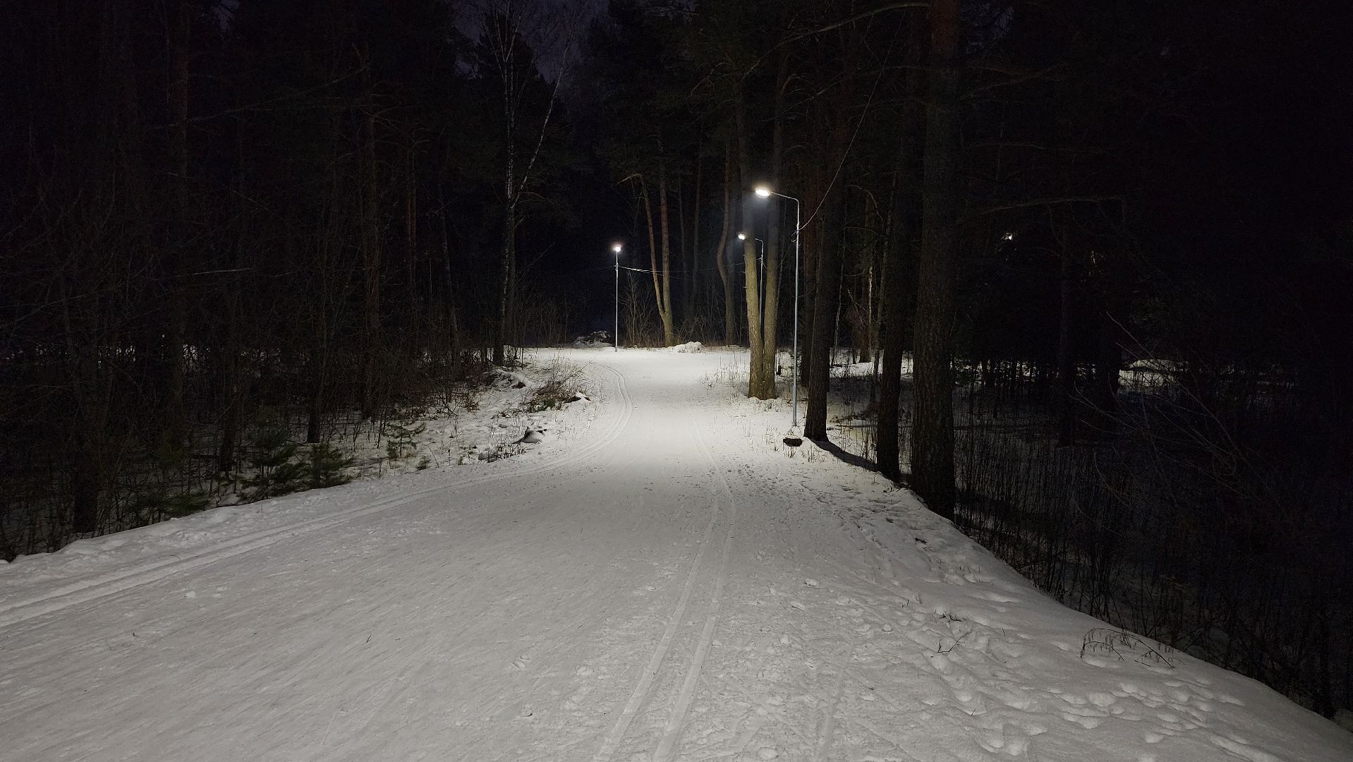 зимние виды спорта, лыжная трасса, стадион Труд, Старая Купавна, Богородский городской округ, вертикалки