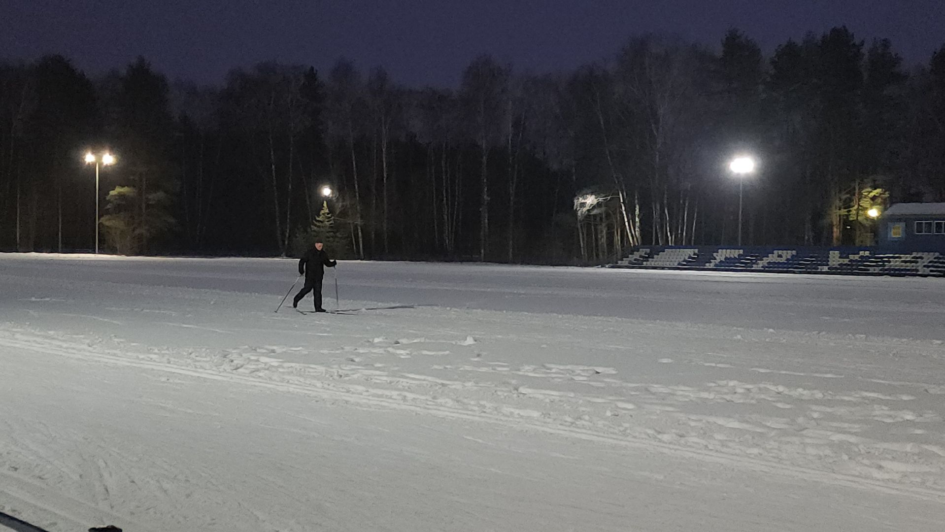 зимние виды спорта, лыжная трасса, стадион Труд, Старая Купавна, Богородский городской округ, вертикалки