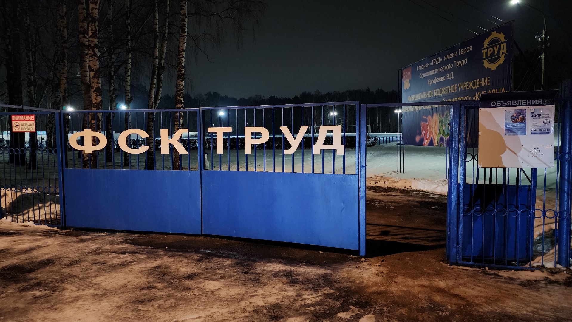 зимние виды спорта, лыжная трасса, стадион Труд, Старая Купавна, Богородский городской округ, вертикалки