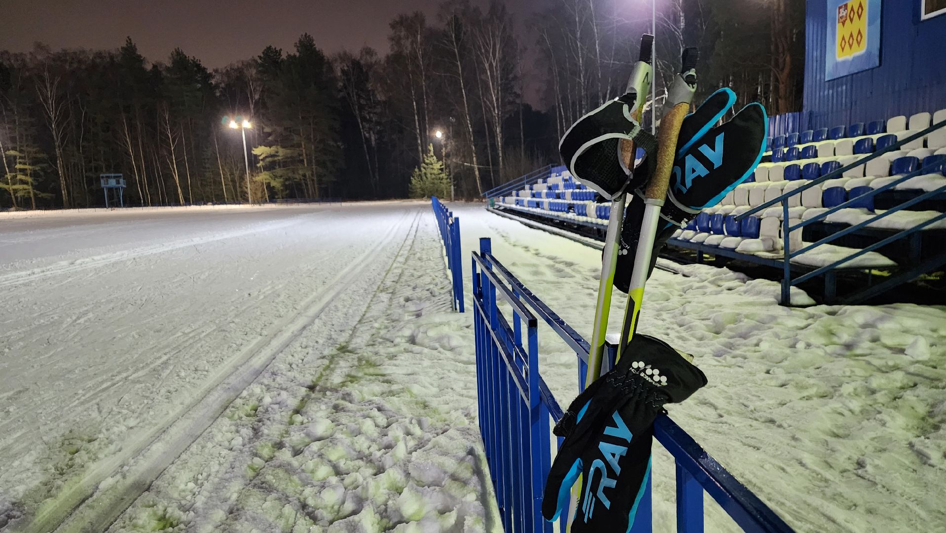 зимние виды спорта, лыжная трасса, стадион Труд, Старая Купавна, Богородский городской округ, вертикалки