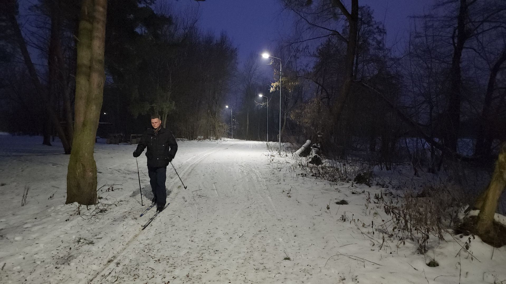 зимние виды спорта, лыжная трасса, стадион Труд, Старая Купавна, Богородский городской округ, вертикалки