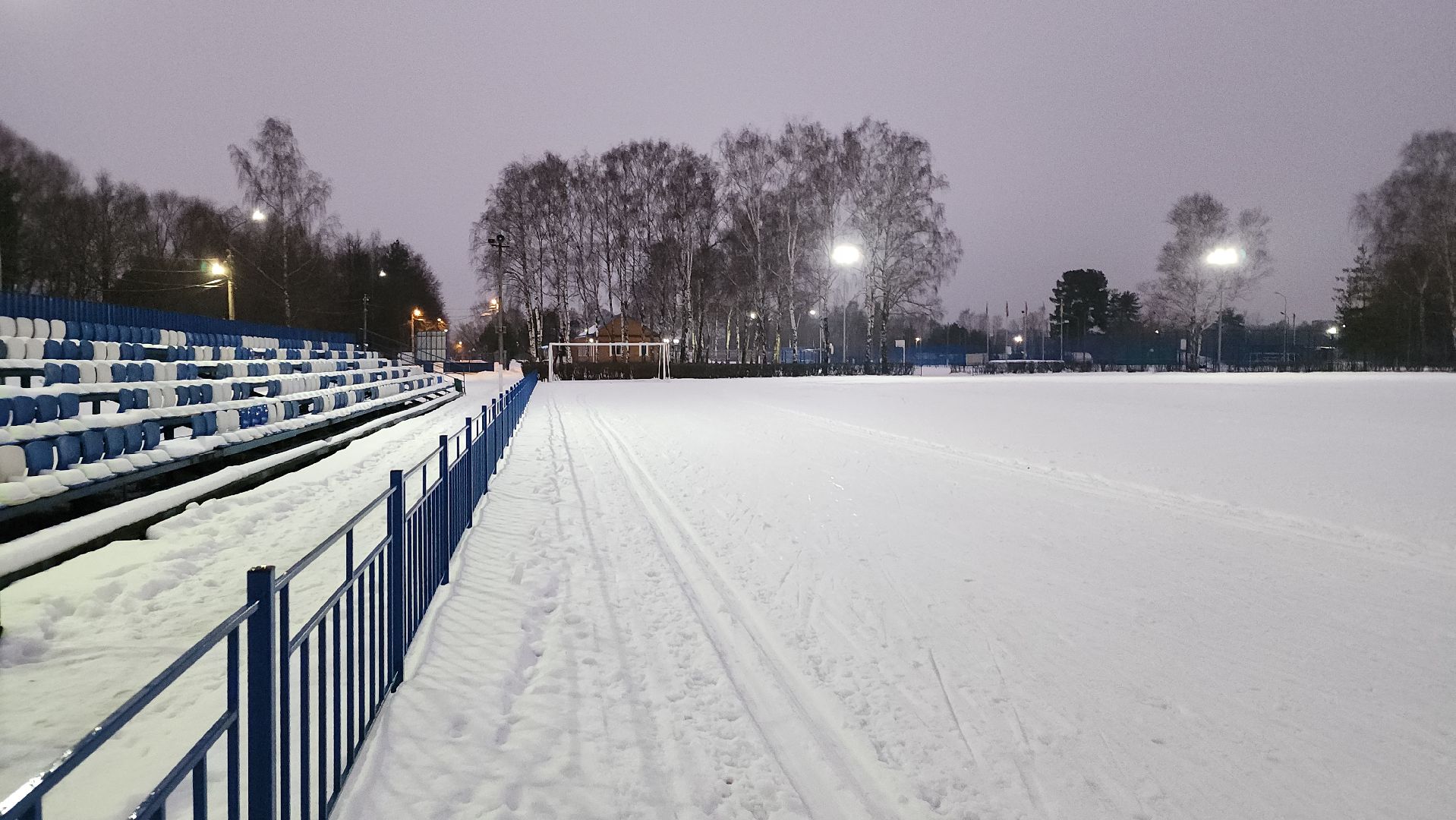 зимние виды спорта, лыжная трасса, стадион Труд, Старая Купавна, Богородский городской округ, вертикалки