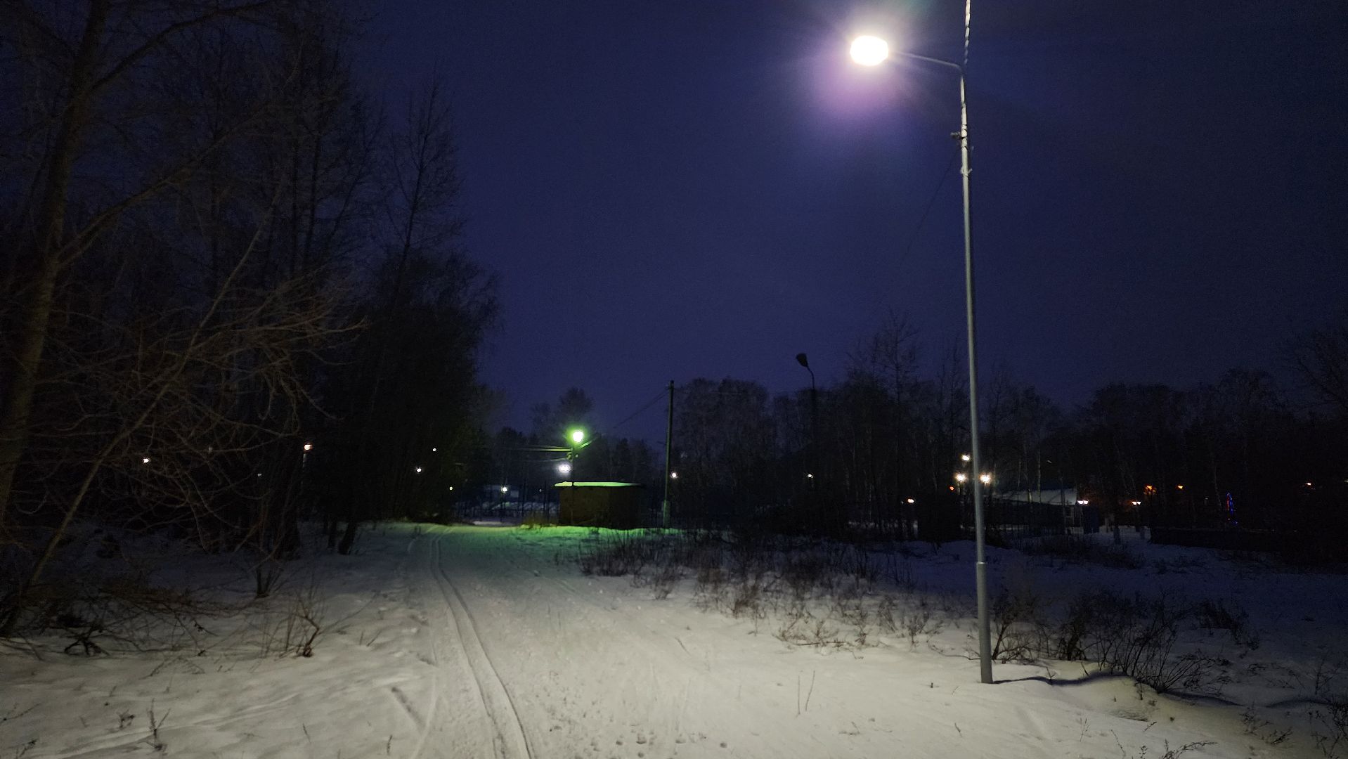 зимние виды спорта, лыжная трасса, стадион Труд, Старая Купавна, Богородский городской округ, вертикалки