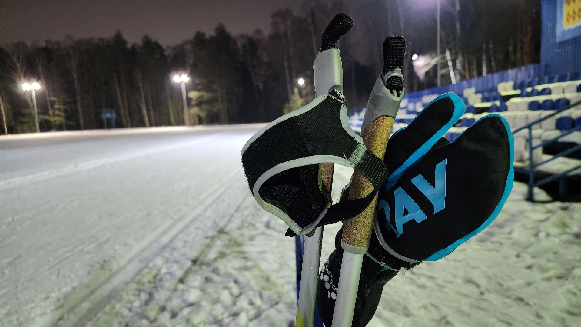 зимние виды спорта, лыжная трасса, стадион Труд, Старая Купавна, Богородский городской округ, вертикалки