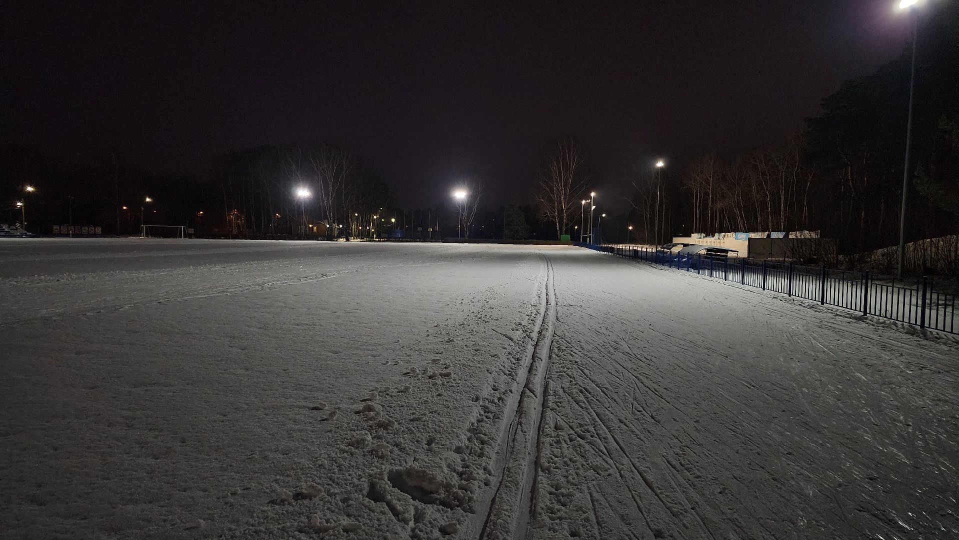 зимние виды спорта, лыжная трасса, стадион Труд, Старая Купавна, Богородский городской округ, вертикалки