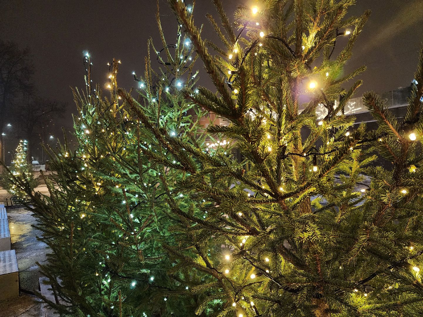 ногинск, жители, общество, новогодние украшения, фонтанная площадь, место для отдыха, фотосессия, вертикалки,