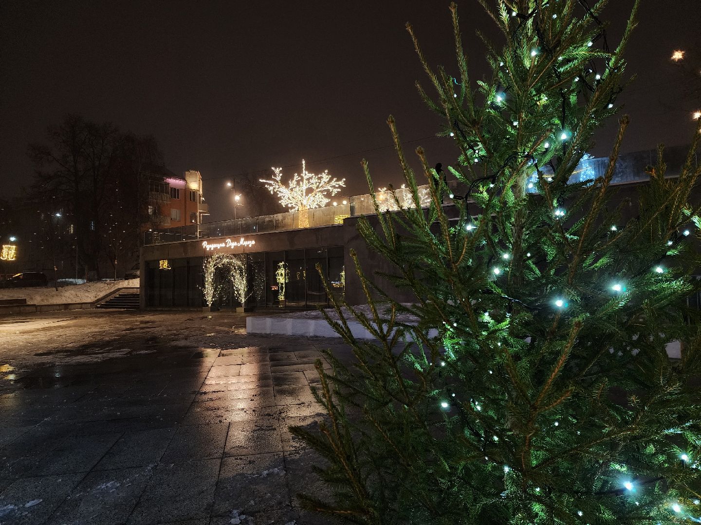 ногинск, жители, общество, новогодние украшения, фонтанная площадь, место для отдыха, фотосессия, вертикалки,