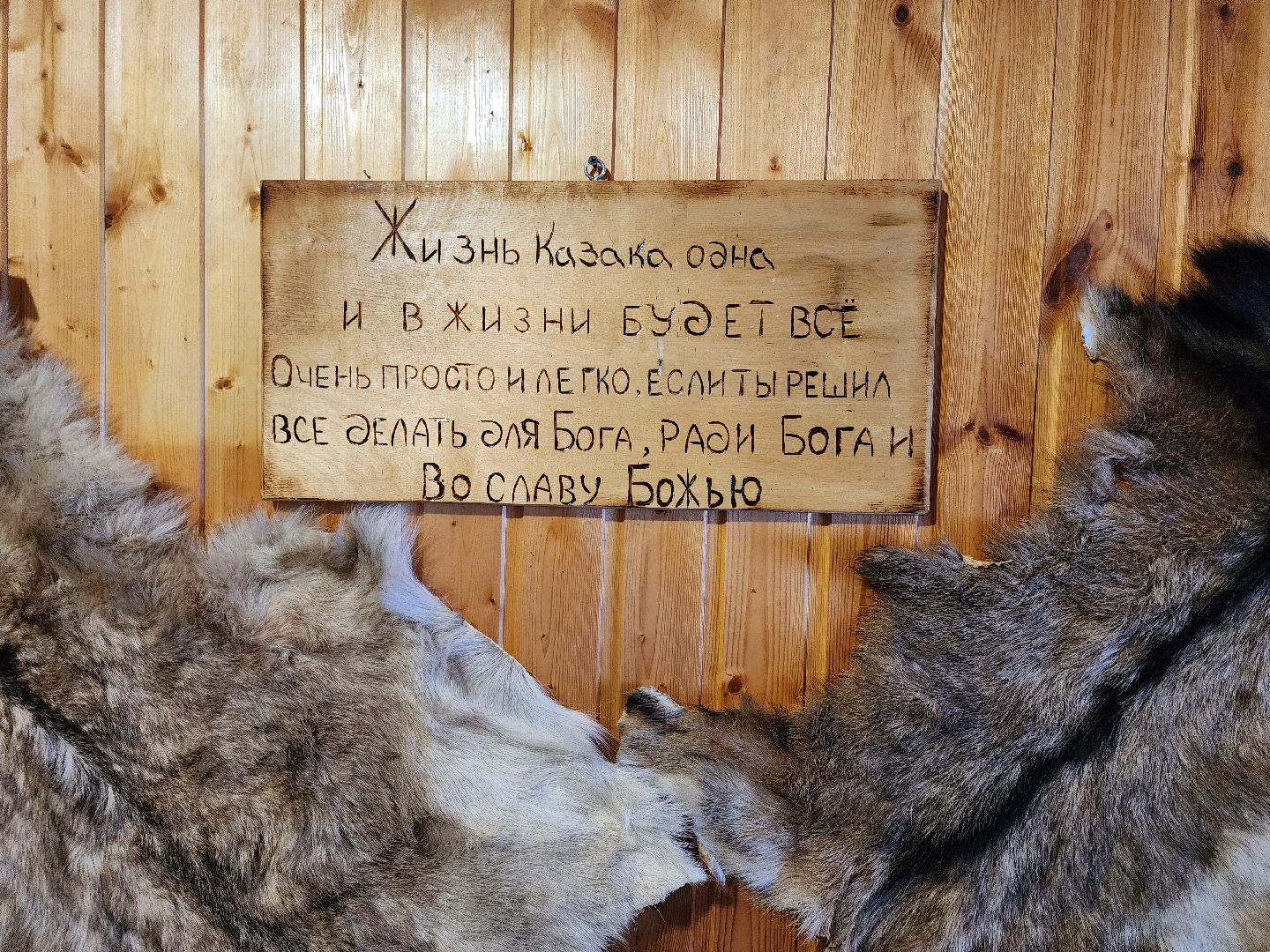 ферма, общество, жители, животные, сельское хозяйство, казачий хутор, вертикалки,