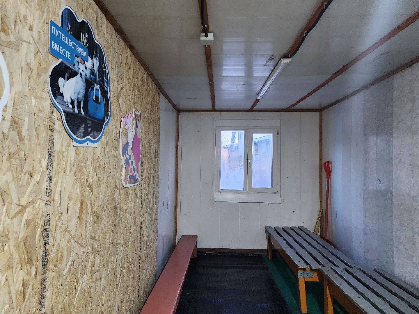 вертикалки, зима в подмосковье, Московская область, Подмосковье, Егорьевск,