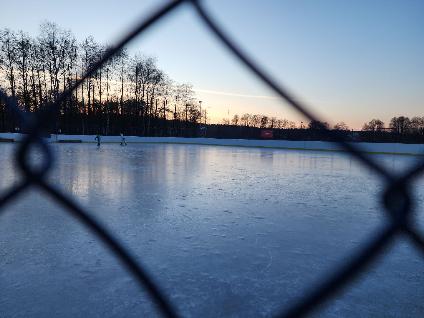 вертикалки, зима в подмосковье, Московская область, Подмосковье, Егорьевск,