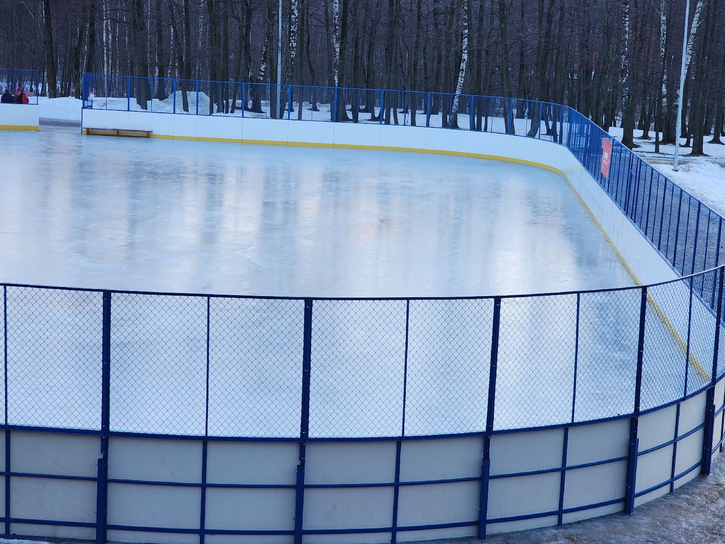вертикалки, зима в подмосковье, Московская область, Подмосковье, Егорьевск,