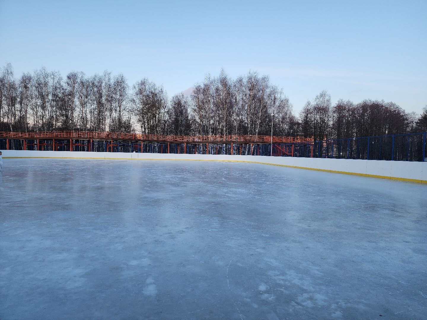 вертикалки, зима в подмосковье, Московская область, Подмосковье, Егорьевск,