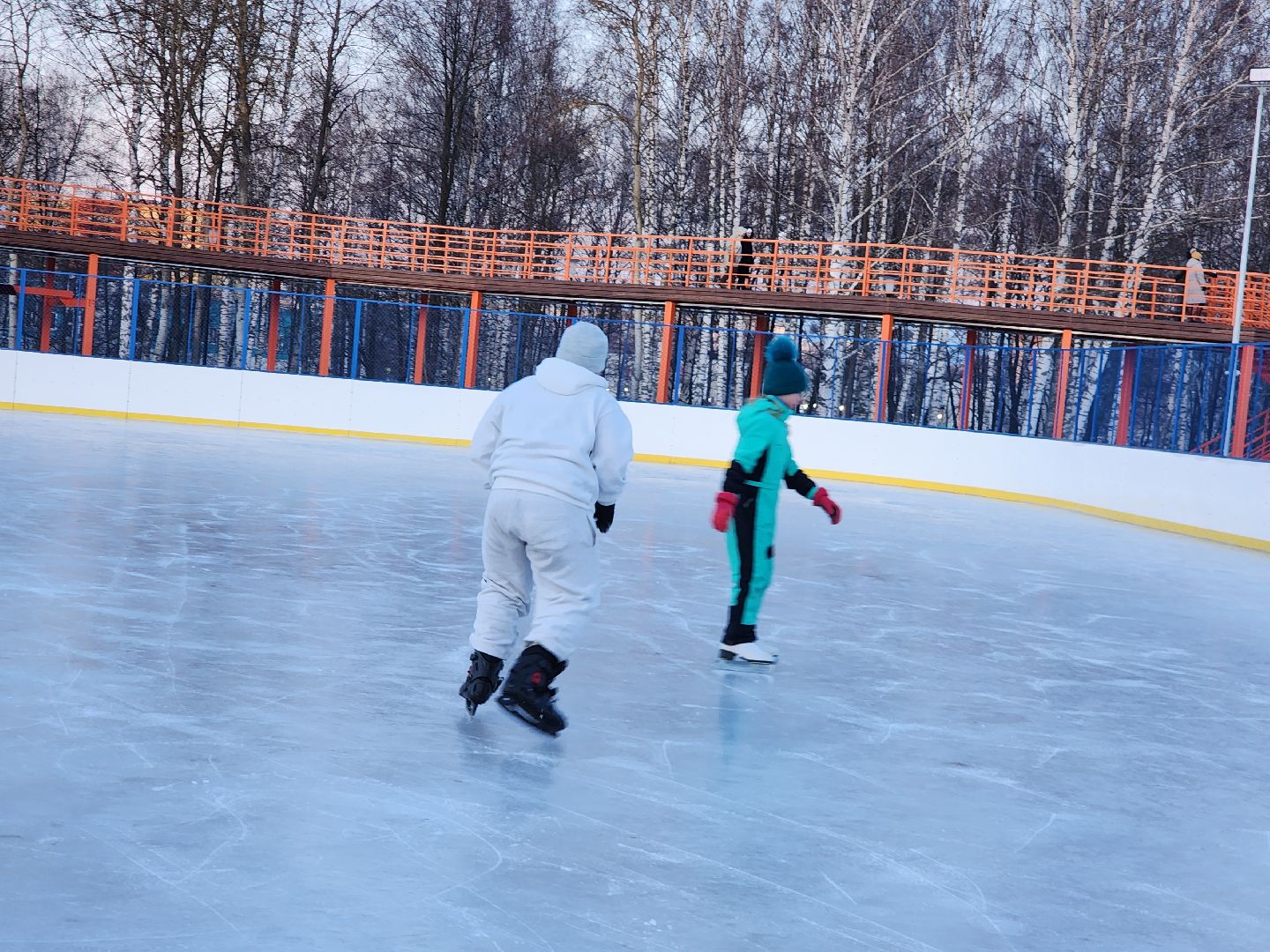 вертикалки, зима в подмосковье, Московская область, Подмосковье, Егорьевск,