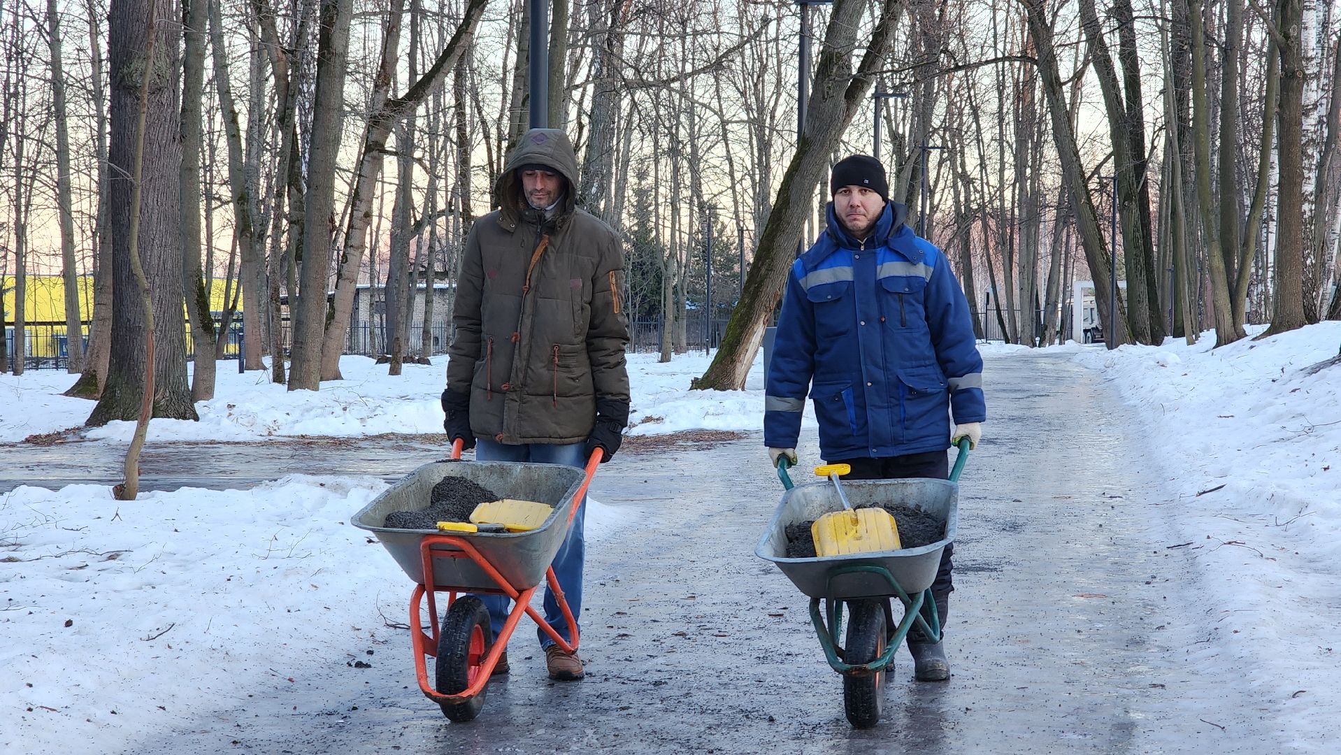 благоустройство, парки Подмосковья, гололед, экология, вертикалки,