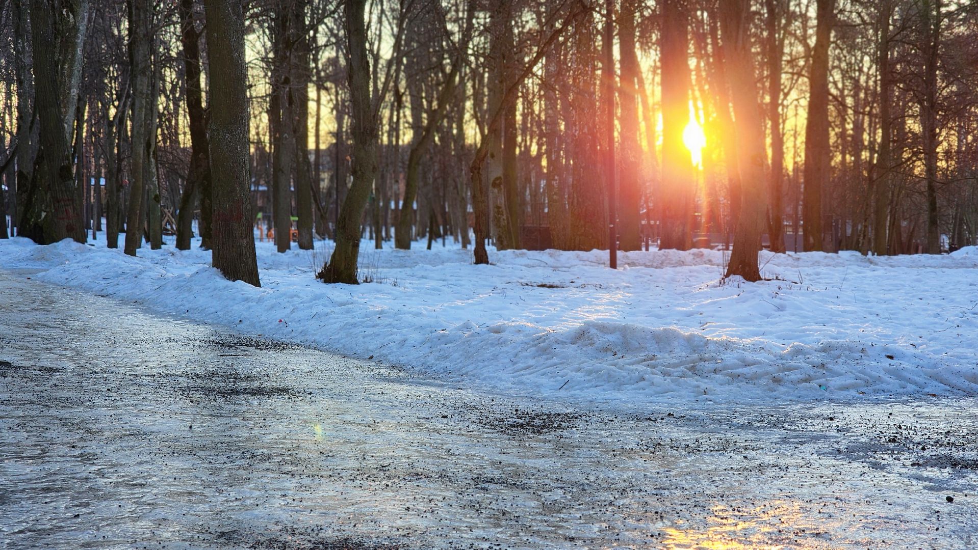 благоустройство, парки Подмосковья, гололед, экология, вертикалки,
