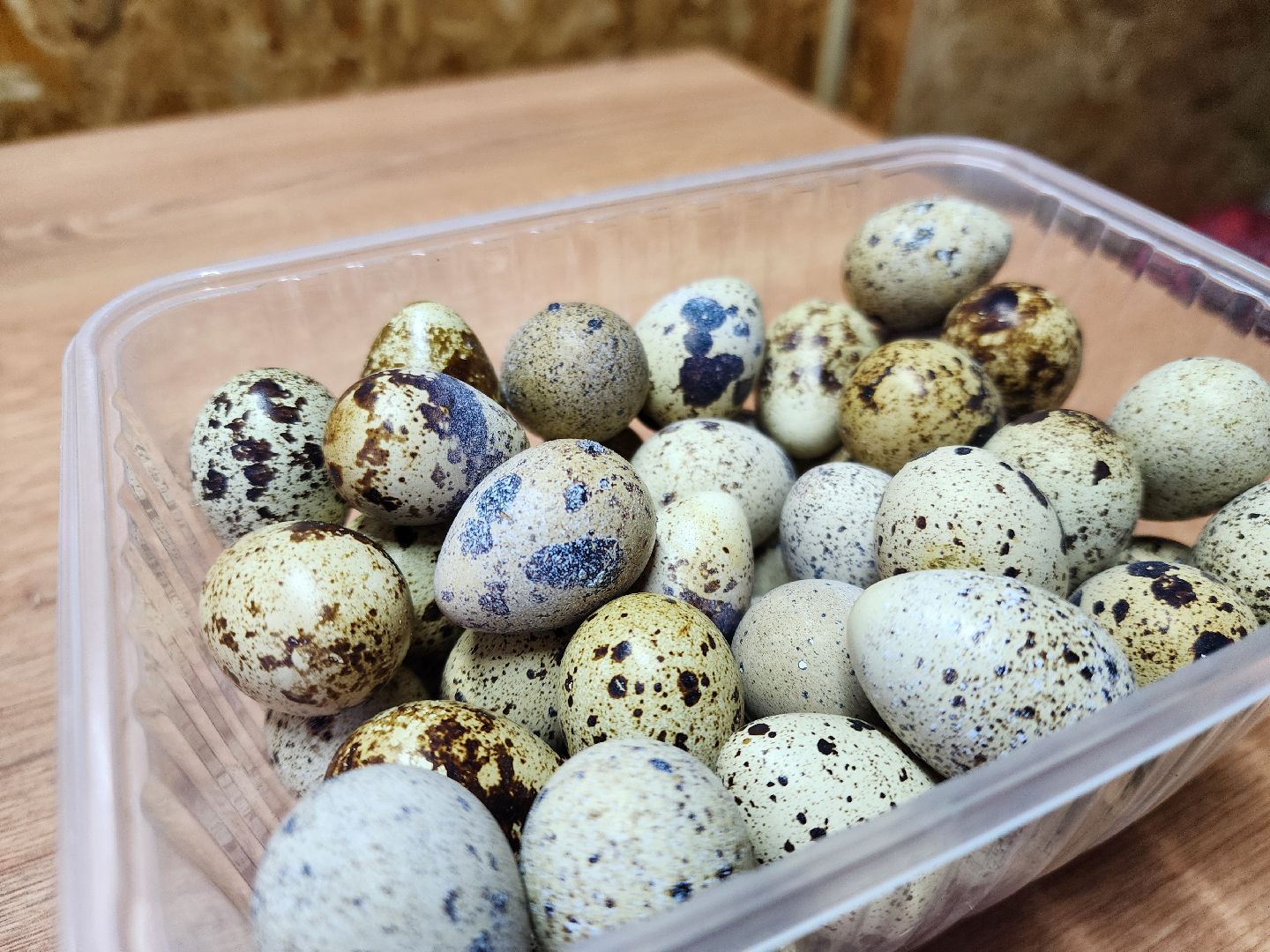 жители, общество, сыроварня, ферма, казачий хутор, семейное производство,