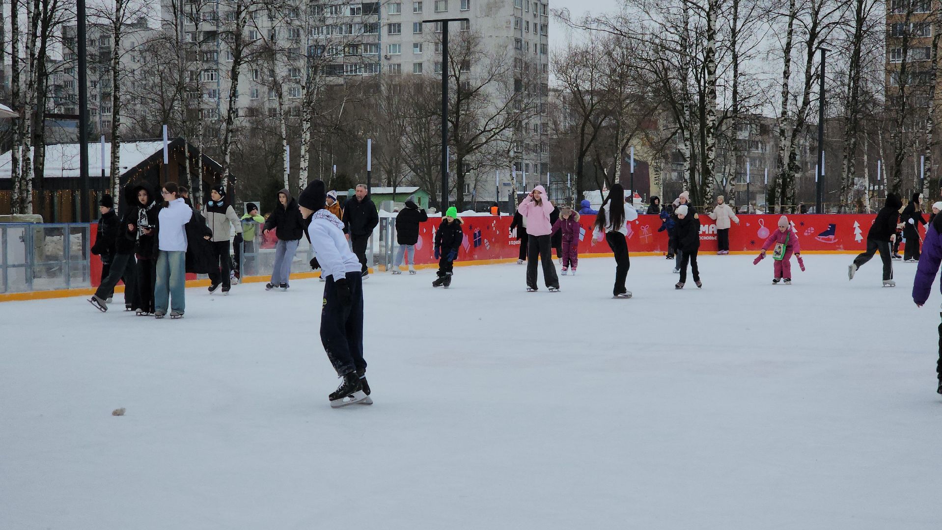 зима в парке, Лобня, Каток, вертикалки,