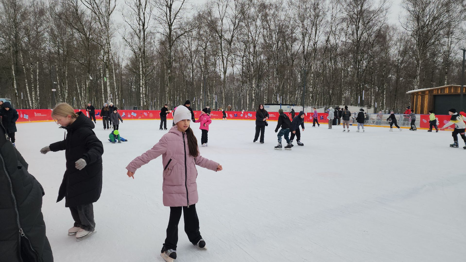 зима в парке, Лобня, Каток, вертикалки,