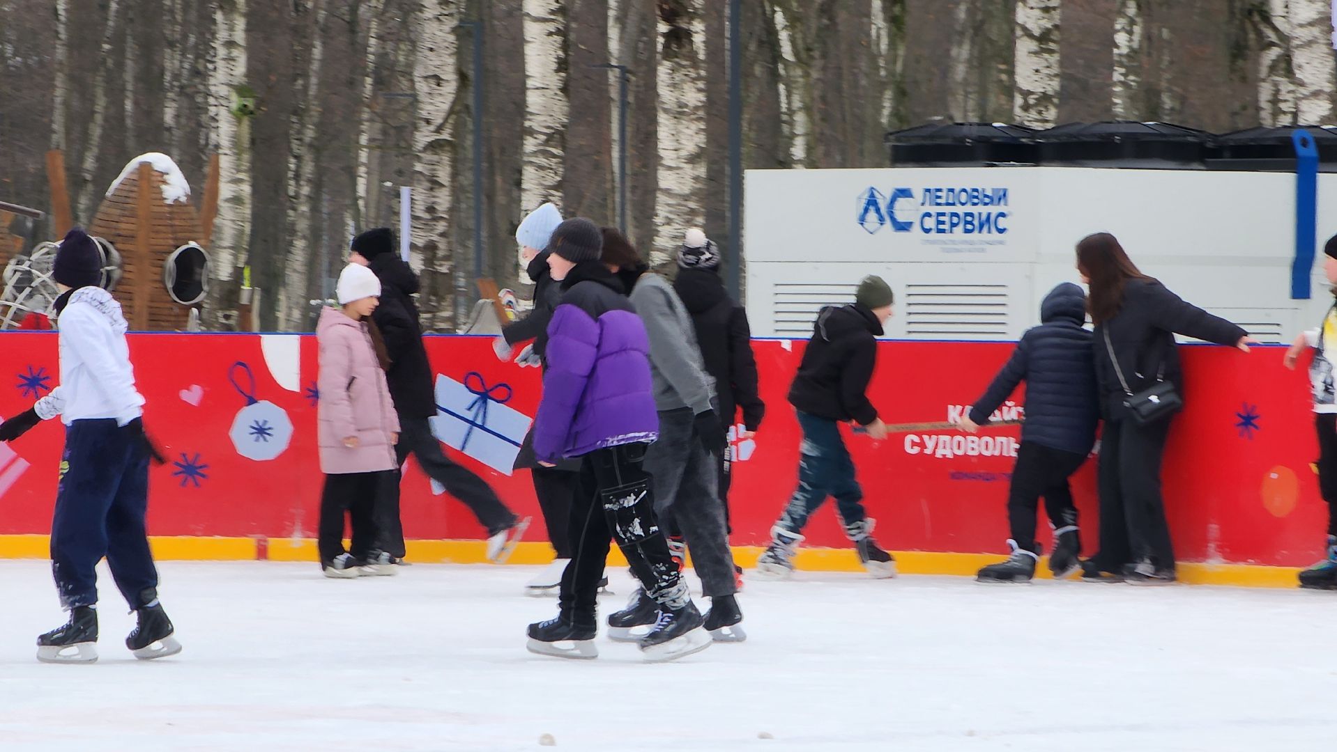 зима в парке, Лобня, Каток, вертикалки,