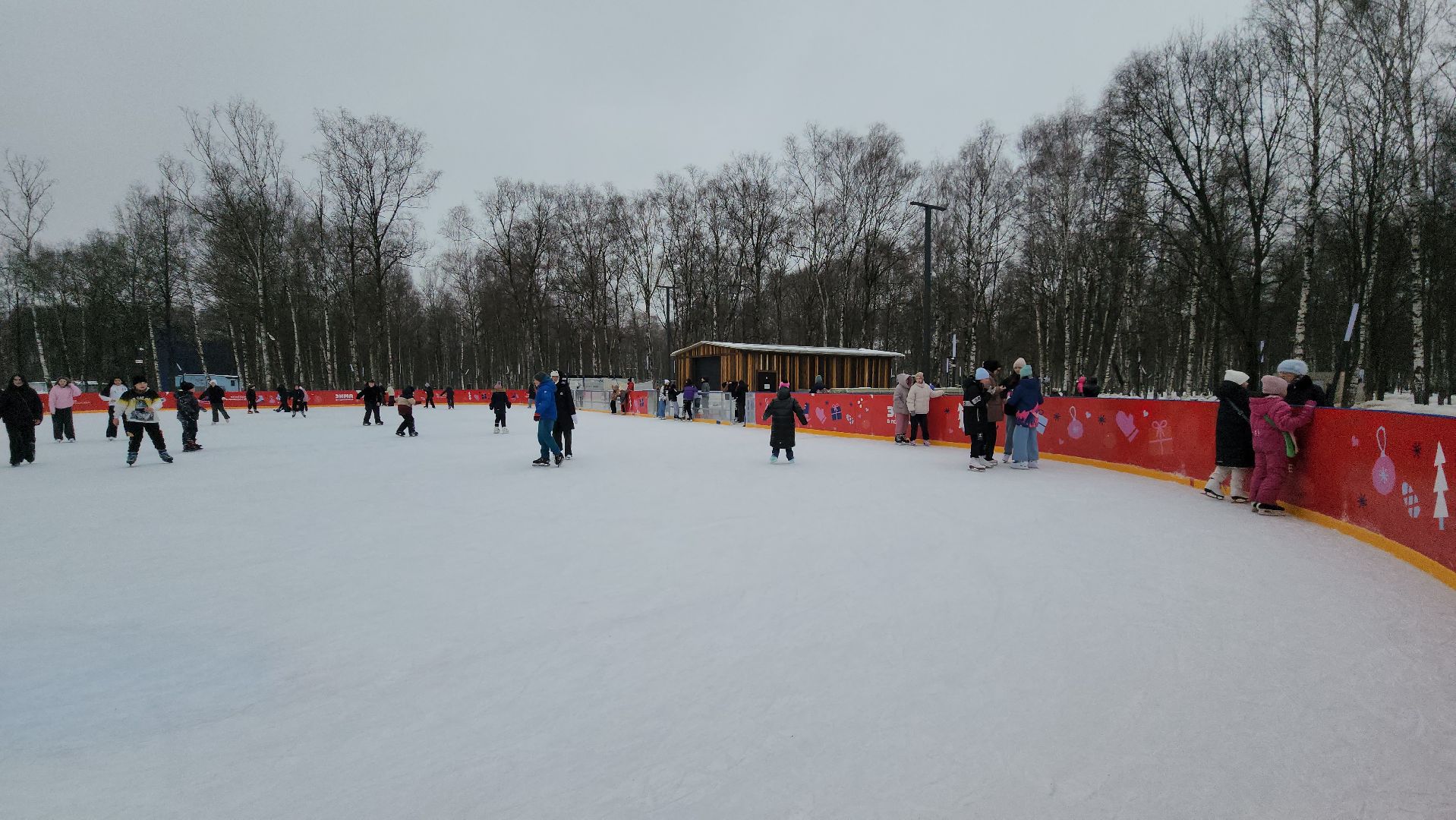 зима в парке, Лобня, Каток, вертикалки,