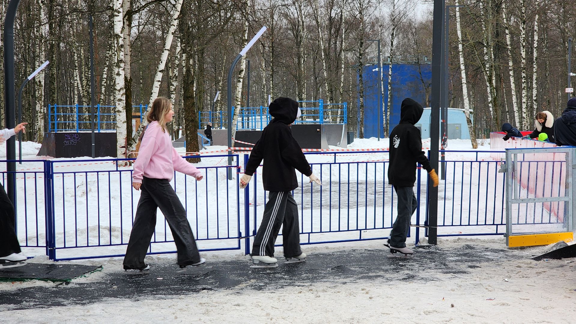 зима в парке, Лобня, Каток, вертикалки,