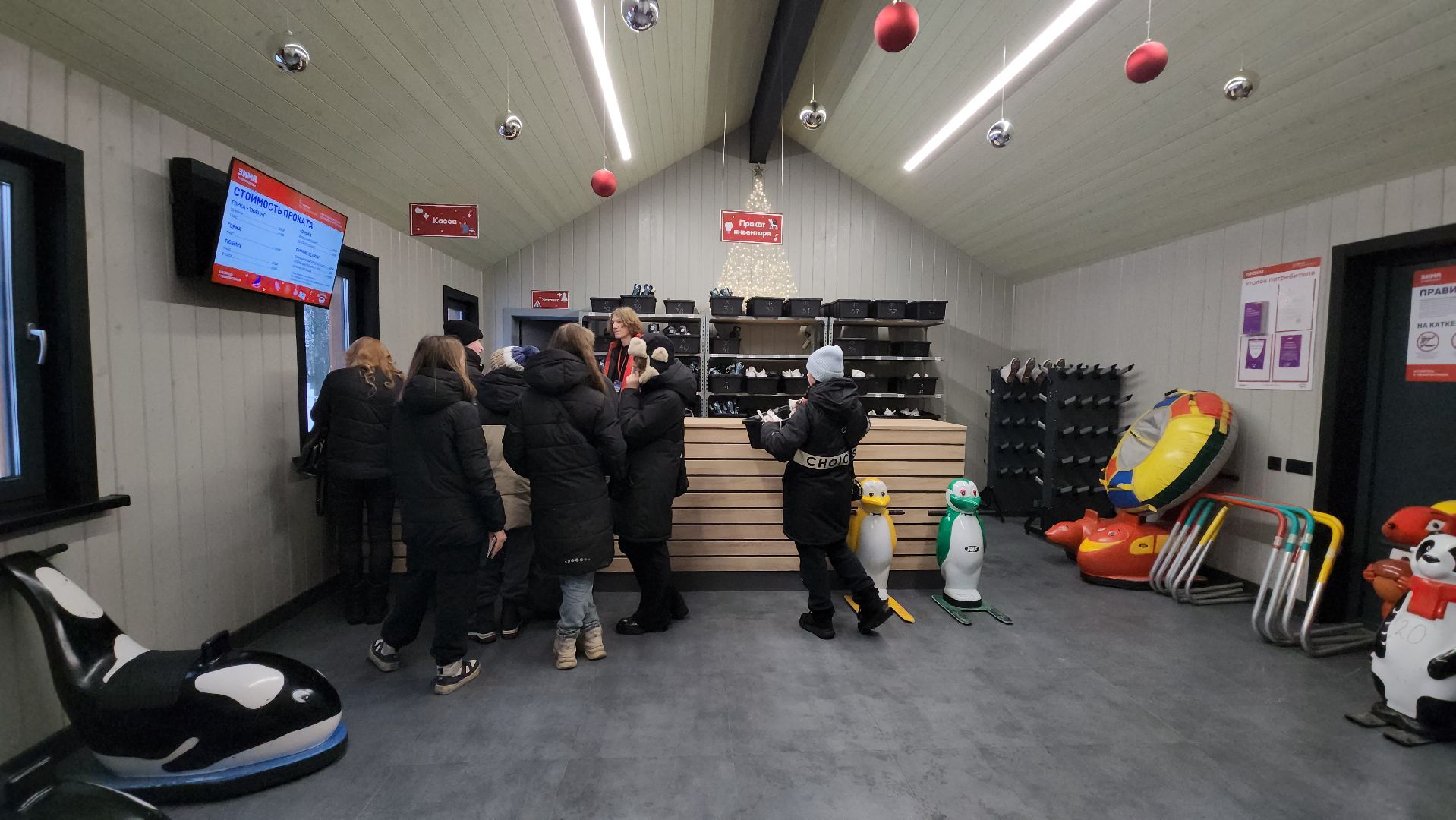 зима в парке, Лобня, Каток, вертикалки,