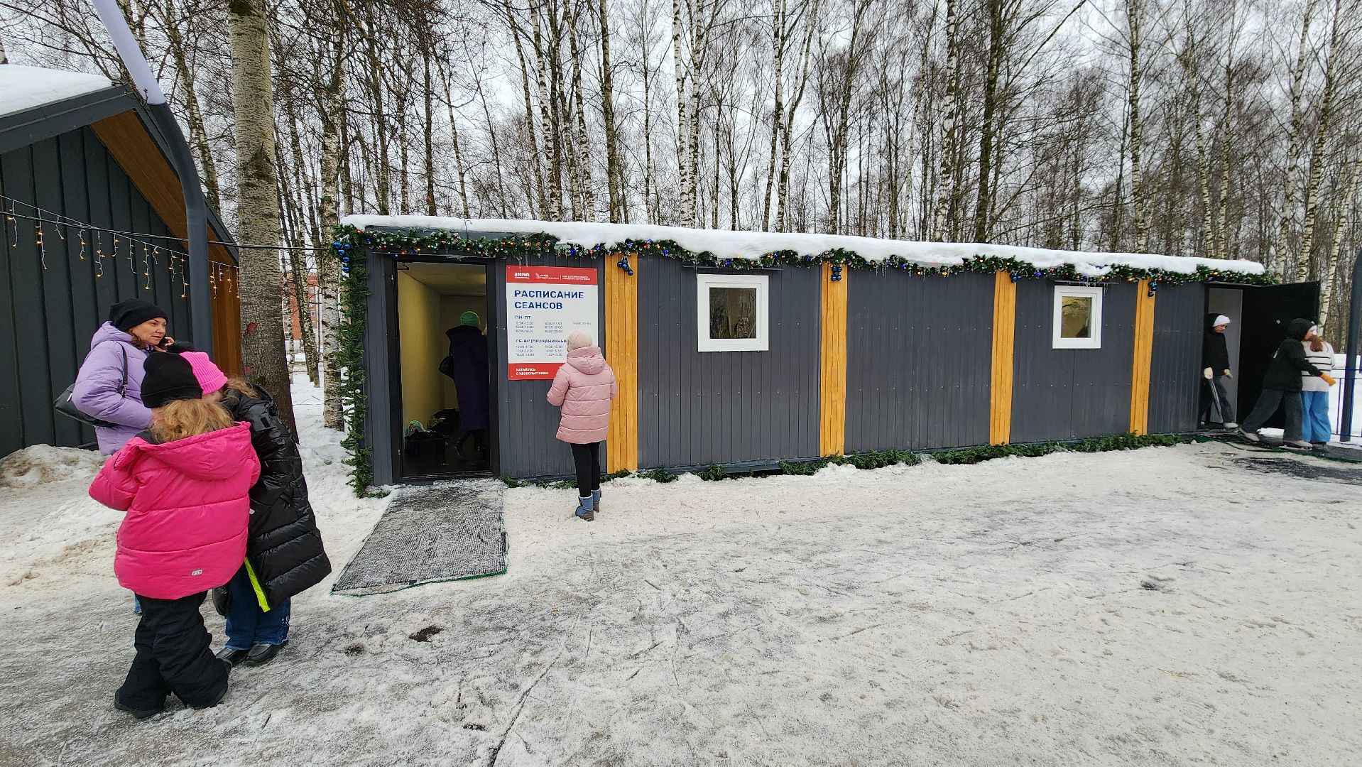 зима в парке, Лобня, Каток, вертикалки,