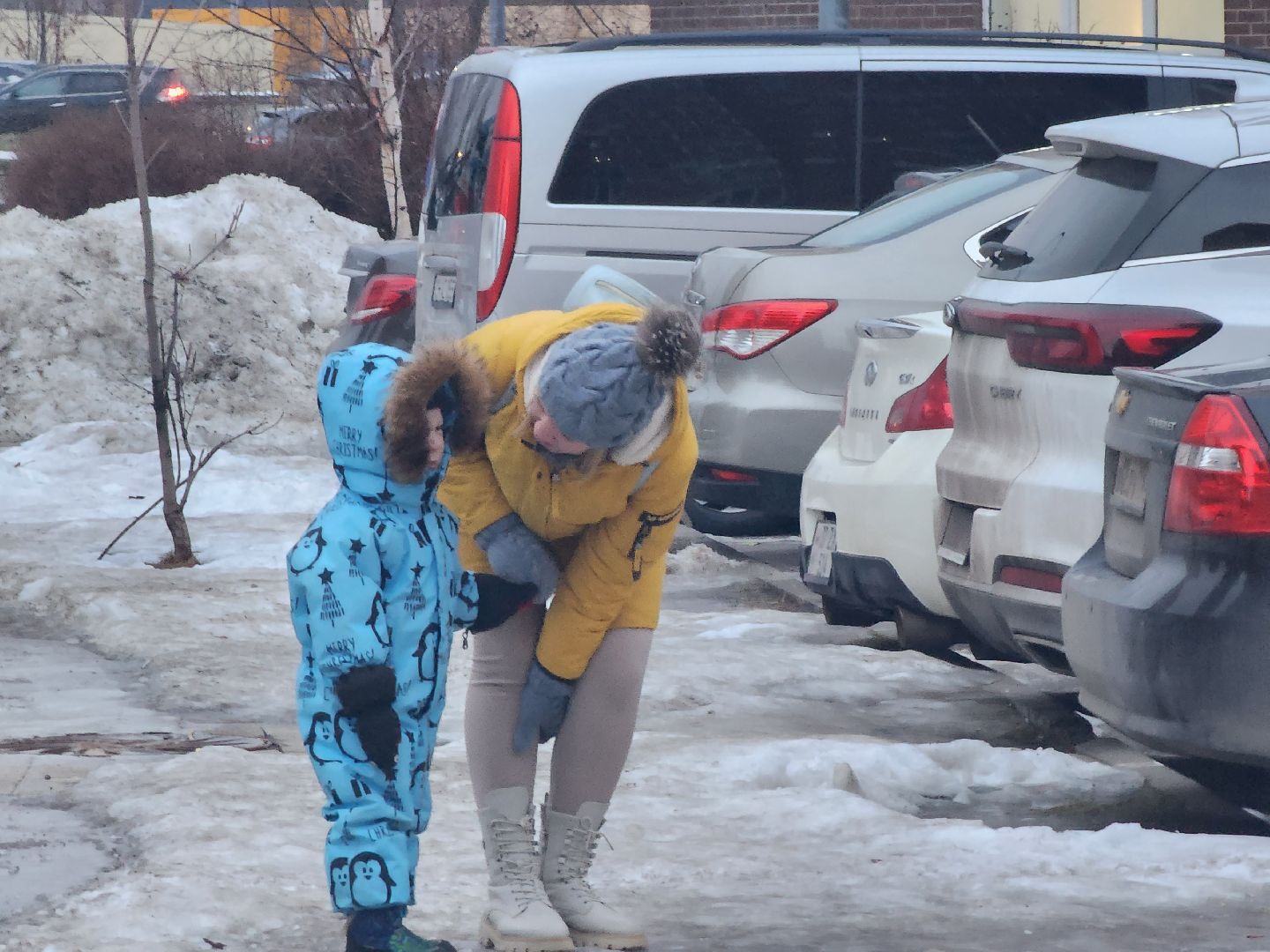 долгопрудный, мбу благоустройство, новые водники, вывоз снега, погрузчик, самосвал, вертикалки,