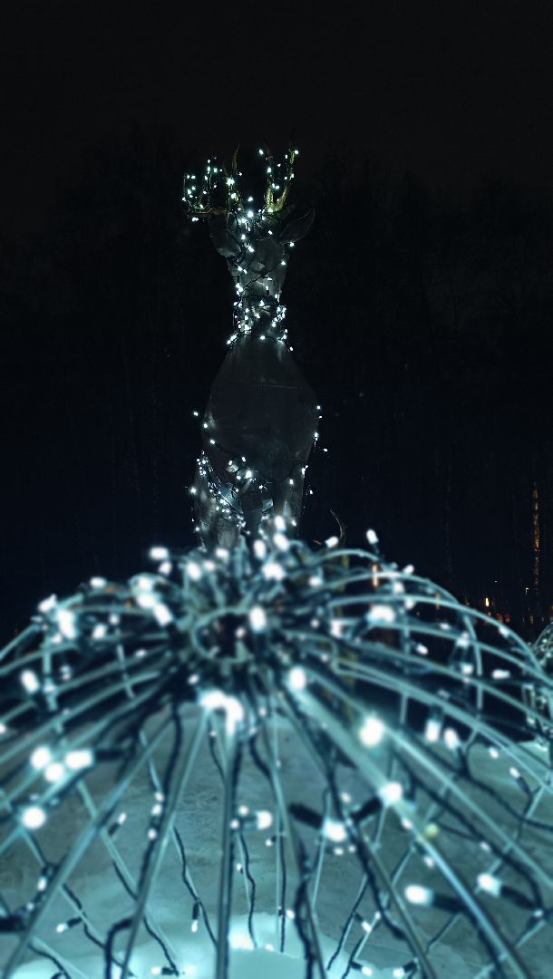 парк, лобня, туризм в подмосковье, зимний отдых, вертикалки,