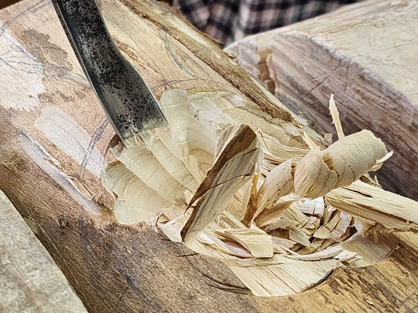 тучково, культура, руза, средневековье, реконструкторы, рузский городской округ, зима в подмосковье, вертикалки,