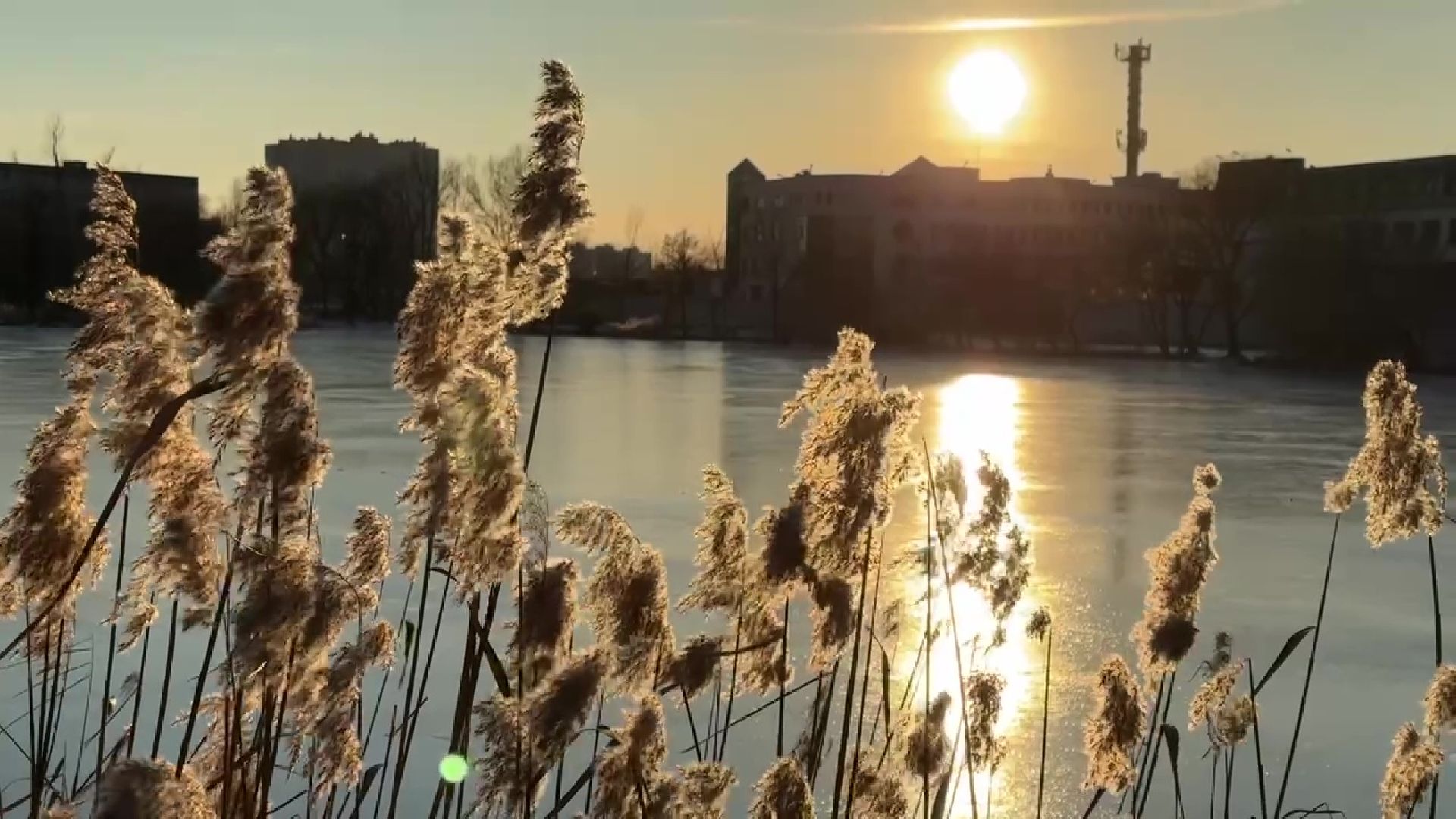 реутов, вертикалки, погода, парк, пруд, зима, весна зимой,