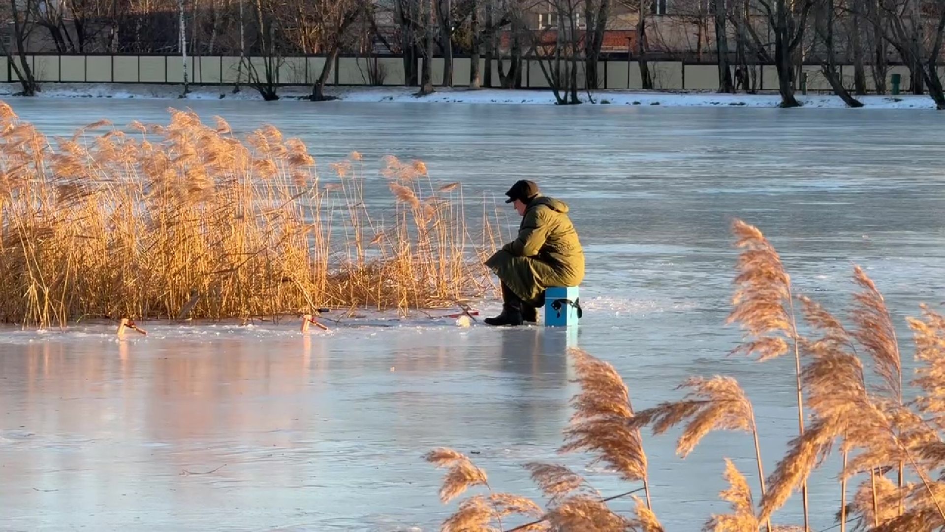 реутов, вертикалки, погода, парк, пруд, зима, весна зимой,