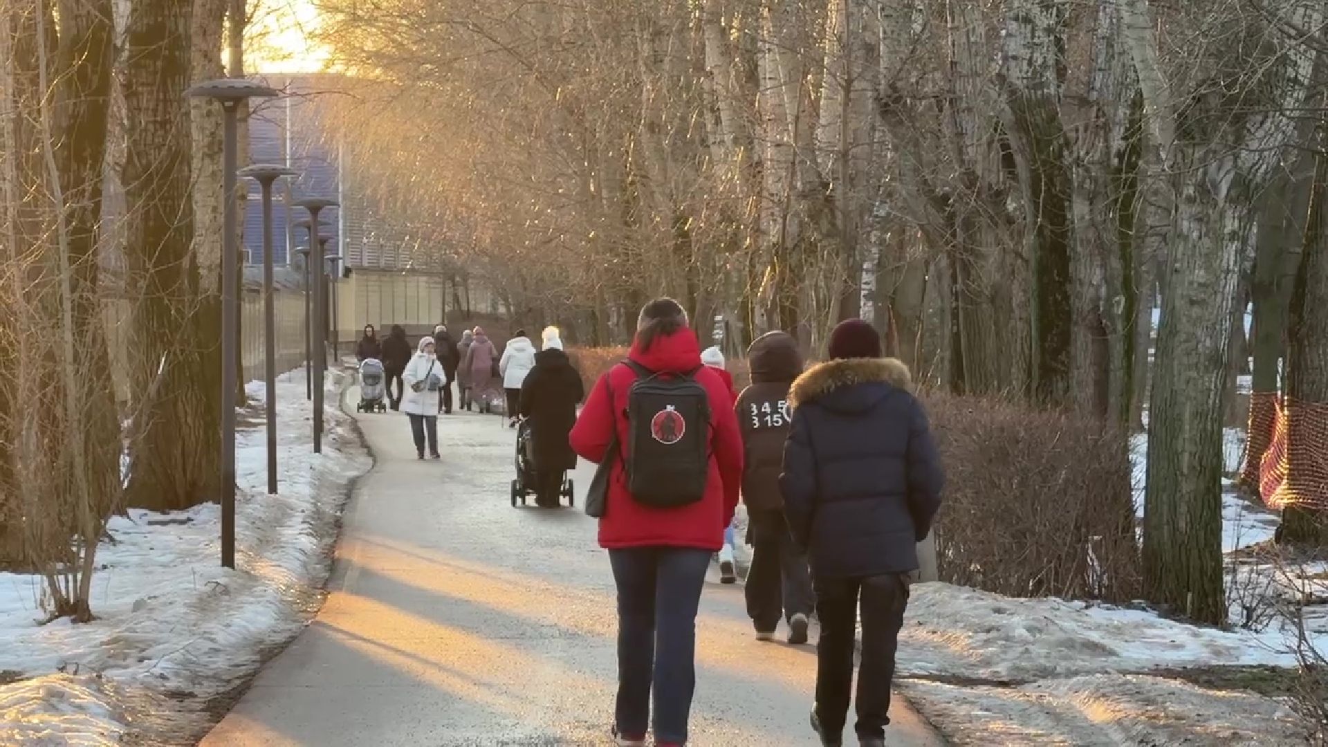 реутов, вертикалки, погода, парк, пруд, зима, весна зимой,