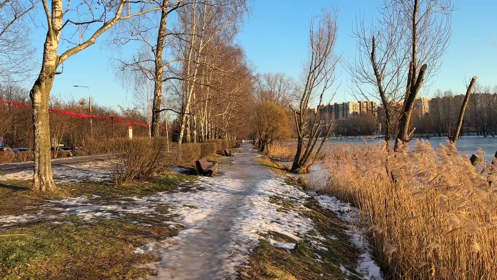 реутов, вертикалки, погода, парк, пруд, зима, весна зимой,